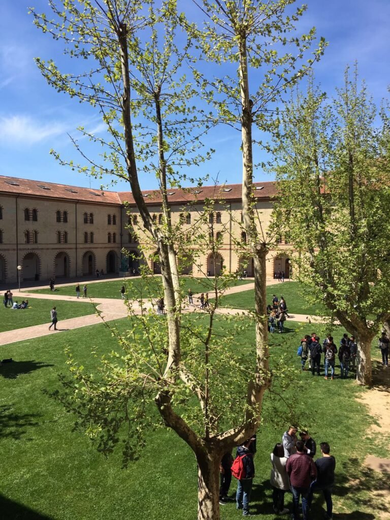 Student life in Italy on the university campus in Ancona
