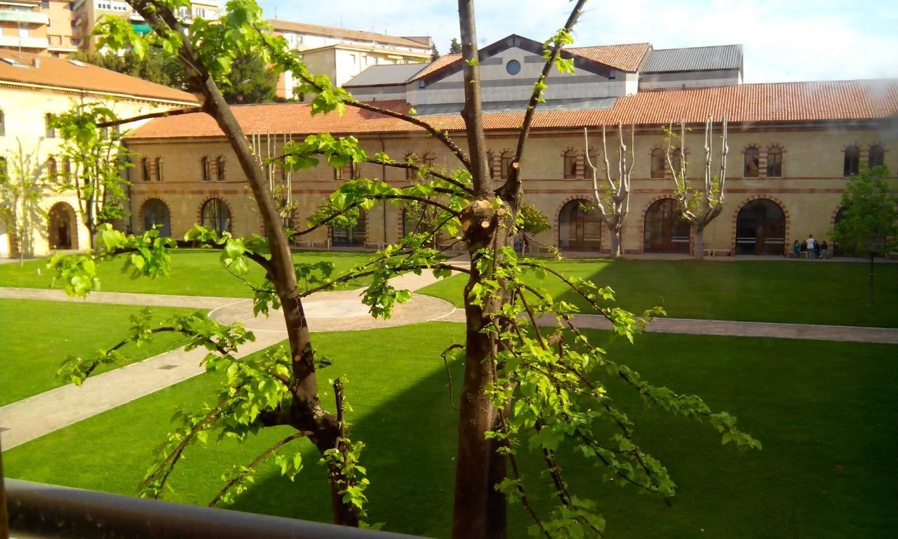 International student studying in Italy at the Polytechnic University of Ancona