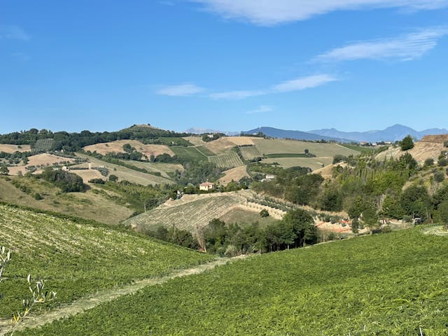 The Marche hills